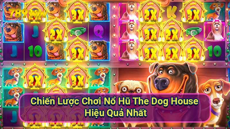 Nổ Hũ The Dog House: Hướng Dẫn Chiến Thắng 5 chien-luoc-choi-no-hu-the-dog-house-hieu-qua-nhat