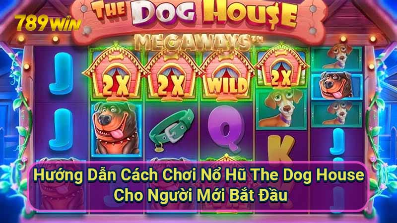 Nổ Hũ The Dog House: Hướng Dẫn Chiến Thắng 7 huong-dan-cach-choi-no-hu-the-dog-house-cho-nguoi-moi-bat-dau