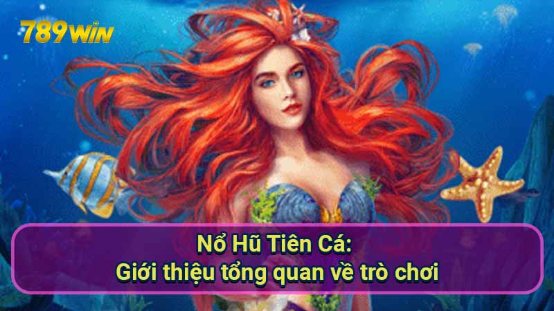 Nổ Hũ Tiên Cá: Hướng dẫn chơi chi tiết và chiến lược thắng lớn 5 no-hu-tien-ca:-gioi-thieu-tong-quan-ve-tro-choi
