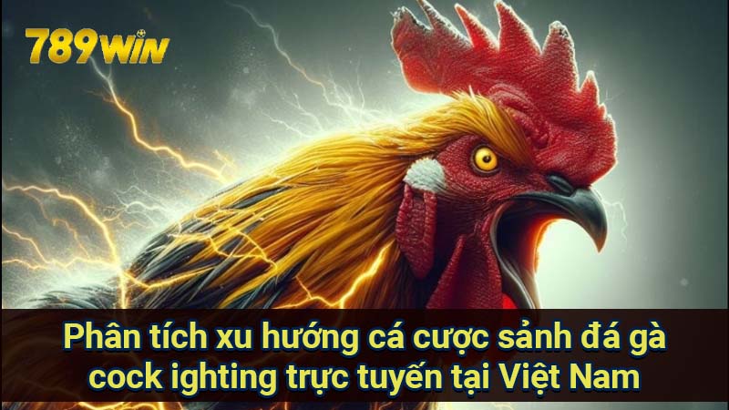 Sảnh Đá Gà Cock ighting: Cơ Hội & Rủi Ro Khi Cá Cược 6 phan-tich-xu-huong-ca-cuoc-sanh-da-ga-cock-ighting-truc-tuyen-tai-viet-nam